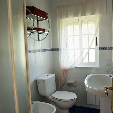 Apartment Amieiro *